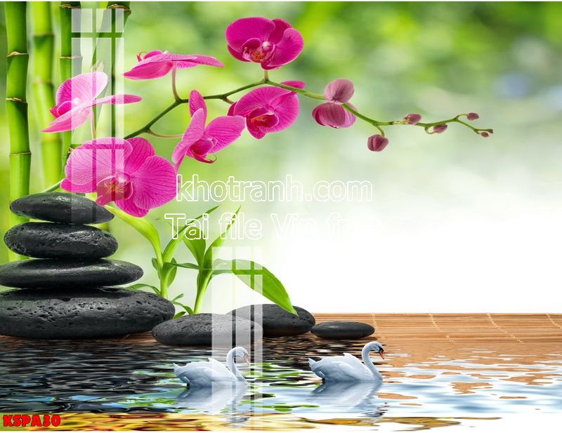 https://khotranh.com/kho-file-tranh-goc/file-tranh-spa-dong-y-dep-kspa30.html