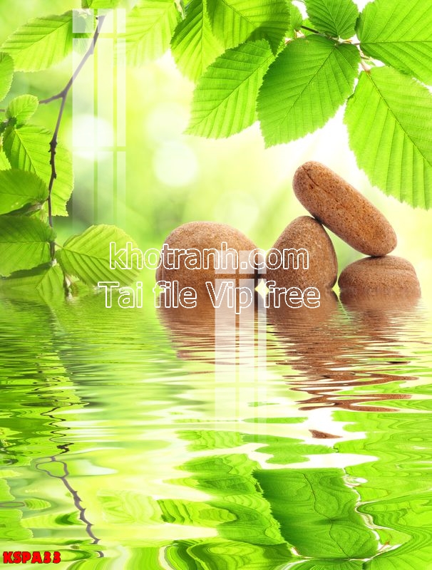 https://khotranh.com/kho-file-tranh-goc/file-tranh-spa-dong-y-dep-kspa33.html
