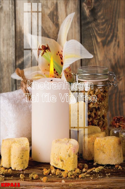 https://khotranh.com/kho-file-tranh-goc/file-tranh-spa-dong-y-dep-kspa35.html