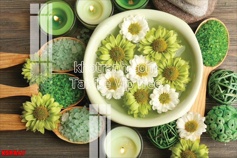 https://khotranh.com/kho-file-tranh-goc/file-tranh-spa-dong-y-dep-kspa47.html